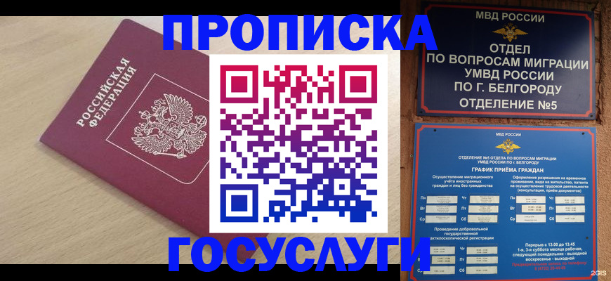 прописка законно в Белой Холунице